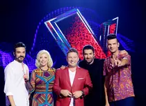 Pro TV a anunțat când încep preselecțiile pentru sezonul opt „Vocea României”