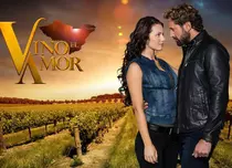 Pro 2 aduce, de luna aceasta, telenovela „Vin iubiri neaşteptate” („Vino el amor”), cu Gabriel Soto în rol principal