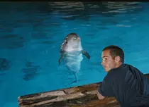 TIFF 2018: „Marele albastru” va fi proiectat pe cel mai mare ecran din România, în prezența protagonistului Jean-Marc Barr