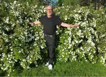 Trei romane scrise de brazilianul Paulo Coelho vor deveni serial