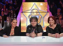 Luminiţa Anghel, Leo Iorga şi Natalia Guberna, în juriul ediţiei 2 „Provocarea starurilor”