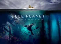 Discovery și BBC își fac platformă de streaming. Cei doi giganți au semnat un acord de 300 de milioane de £