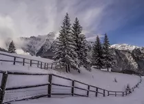 GALERIE FOTO. Ultimul episod al seriei „Wild Carpathia” va fi difuzat astăzi, în premieră, de TVR 1