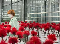 Câștigătorul Palme d’Or și marile premii de la Cannes vor fi în premieră la Les Films de Cannes à Bucarest