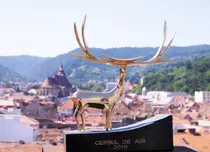 Consiliul de Administraţie al TVR a aprobat organizarea Festivalului Internaţional Cerbul de Aur, ediţia din 2020