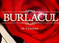 Antena 1 readuce pe micile ecrane emisiunea „Burlacul”. Cine va prezenta al șaselea sezon