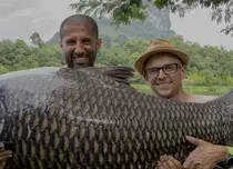 Două documentare în premieră în acest weekend la Viasat Explore: „Crapi monstruoşi” și „Munții vrăjiți din inima Germaniei”