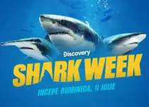 Discovery Channel lansează la apă Shark Week 2021