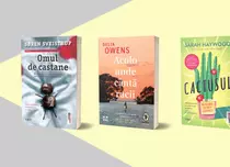 Două filme noi și un serial Netflix, ecranizate după 3 cărți de succes