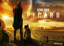 De la „Nouă străini” la „Star Trek: Picard”: 10 seriale bune pe care le puteți vedea la Amazon Prime Video
