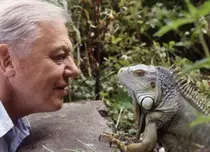 Pe vremea când David Attenborough nu era „Sir”. Cum și-a început cariera celebrul naturalist britanic