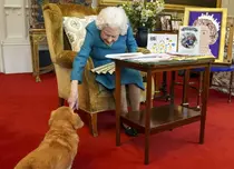 Cine va moșteni iubiții corgi ai reginei Elisabeta a II-a. Cei doi câini rămân în familie