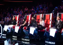 Cine sunt finaliștii „Vocea României” 2022, sezonul 10. Patru concurenți luptă pentru marele premiu