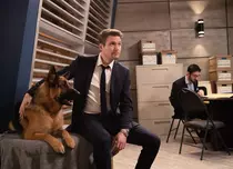 Serialul polițist Hudson și Rex, în premieră la TVR 2. Programul de difuzare