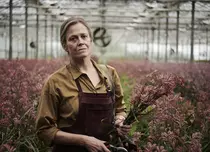 Ecranizările a șase romane de succes, de la „Florile pierdute ale lui Alice Hart” la „Tatuatorul de la Auschwitz”, ajung curând pe ecrane