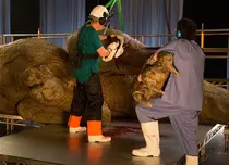 „T. rex la autopsie”, difuzat în premieră de National Geographic pe 7 iunie