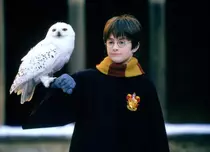 Digi Film difuzează din 4 decembrie întreaga serie „Harry Potter”