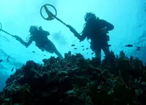 Discovery Channel a lansat noua grilă de programe. Lista noilor documentare