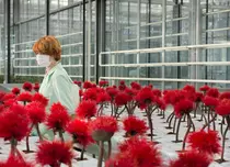Câștigătorul Palme d’Or și marile premii de la Cannes vor fi în premieră la Les Films de Cannes à Bucarest