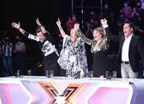 Etapa audițiilor se încheie în această seară la „X Factor” (Antena 1). Jurații vor lua decizii dificile