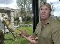 15 ani fără Steve Irwin, „Vânătorul de crocodili”