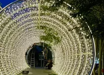 Decor de vis la cununia civilă a Simonei Halep cu Toni Iuruc