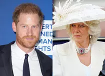 Prințul Harry, acuzații dure la adresa reginei consoarte Camilla. Detalii uluitoare despre soția regelui Charles