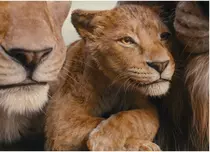 4 filme de neratat în aprilie 2025 pe streaming: thriller, muzical postapocaliptic și „Mufasa: Regele leu” pe Disney+