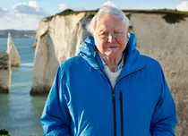 „Oceanul cu David Attenborough”. Documentarul care schimbă perspectiva asupra vieții marine, în premieră la National Geographic