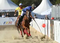 Singureni Manor Polo Cup 2025: România, între Queen’s Cup și St. Moritz