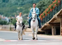 PRO TV schimbă din nou grila. „Fără Urmă” este scos din prime-time după doar două episoade. Când poate fi urmărit