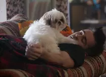 „Şapte psihopaţi şi un câine”/ „Seven Psychopaths” (2012)
