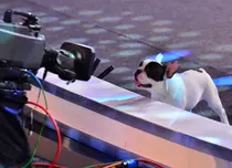 “Ham talent” începe duminică, 18 octombrie, de la ora 20.30, la Antena 1