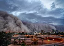 BBC Earth aduce două documentare noi