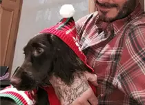 Ce animale de companie şi-au ales vedetele tale preferate