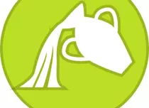 Horoscop Vărsător 24 februarie – 2 martie 2017