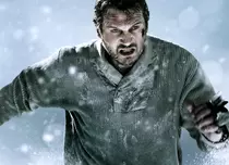 Recomandarea TVmania pentru seara de marți, 3 octombrie: „The Grey: La limita supraviețuirii”  cu Liam Neeson și Dermot Mulroney