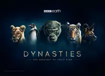 GALERIE FOTO. Din 22 noiembrie, BBC Earth începe difuzarea seriei documentare „Dinastii”