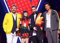 Pro TV a anunțat premiera noului sezon „Vocea României”. Ce schimbări suferă formatul emisiunii