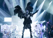Cine este marele câștigător al primului sezon „Masked Singer România” (Pro TV)