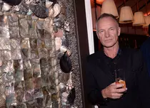 Mesajul plin de emoție transmis de Sting pentru Ucraina. „Pentru curajoşii ucraineni care luptă...”