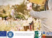 5 motive să cumperi miere naturală