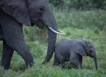 National Geographic, program special de Ziua Pământului. Când este difuzat documentarul produs de James Cameron