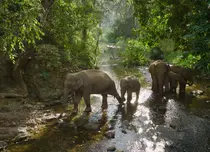 Premierele lunii august 2023 la National Geographic și National Geographic Wild