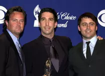 David Schwimmer (Ross) nu a văzut nici măcar un singur episod din „Friends”. Cine l-a convins să se uite, în cele din urmă