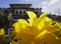 3 serii documentare noi la TV. National Geographic lansează toamna aceasta noi serii captivante pentru toate gusturile