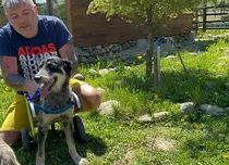 Papi Land - Prieteni pe viață, o nouă emisiune la Prima TV. Când începe show-ul dedicat iubitorilor de animale