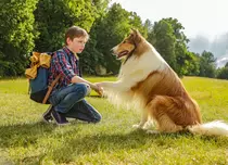 Ce filme în premieră la TV aduc spiritul Crăciunului pe FilmBox Premium. Lista completă și programul de difuzare