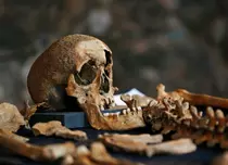 Moartea Neagră: Pacientul-zero. Cea mai mare pandemie din istorie, dezvăluită în premieră la Viasat History