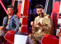 Pro TV difuzează ultima ediție a audițiilor pe nevăzute din sezonul 13 „Vocea României”. Smiley: „Sunt hipnotizat de interpretarea ta”